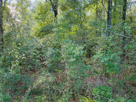0 Thomas Dr, Quincy, FL 32352 photo 6