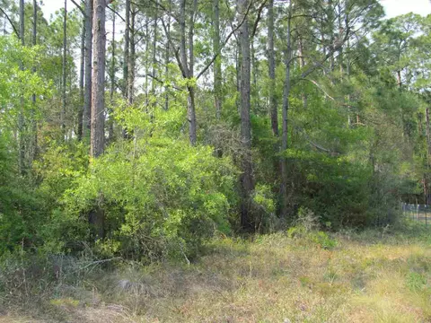 Lucy Lane, Panacea, FL 32346 photo 5