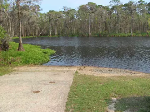 Lucy Lane, Panacea, FL 32346 photo 19