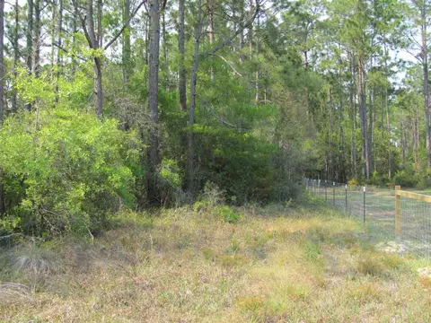 Lucy Lane, Panacea, FL 32346 photo 4