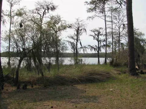 Lucy Lane, Panacea, FL 32346 photo 22