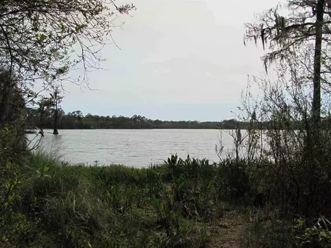 Lucy Lane, Panacea, FL 32346 photo 18