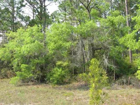 Lucy Lane, Panacea, FL 32346 photo 2