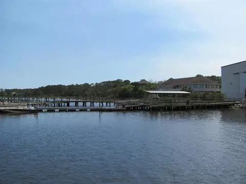 Lucy Lane, Panacea, FL 32346 photo 12