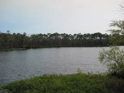 Lucy Lane, Panacea, FL 32346 photo 20