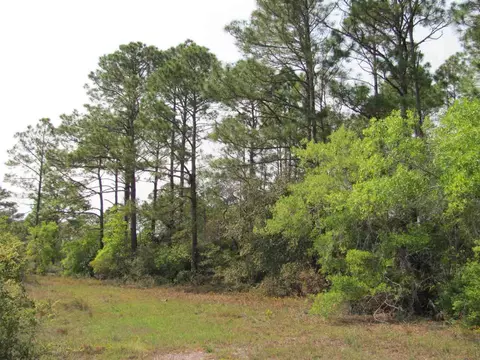 Lucy Lane, Panacea, FL 32346 photo 3