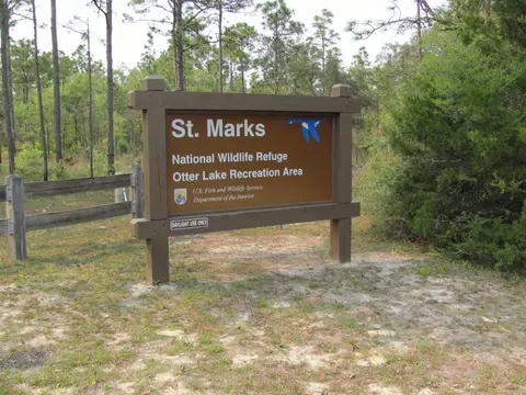 Lucy Lane, Panacea, FL 32346 photo 16