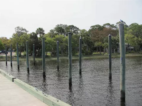 Lucy Lane, Panacea, FL 32346 photo 15
