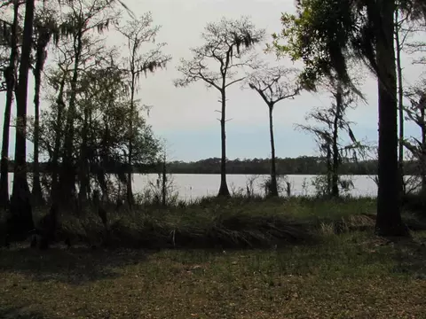 Lucy Lane, Panacea, FL 32346 photo 21