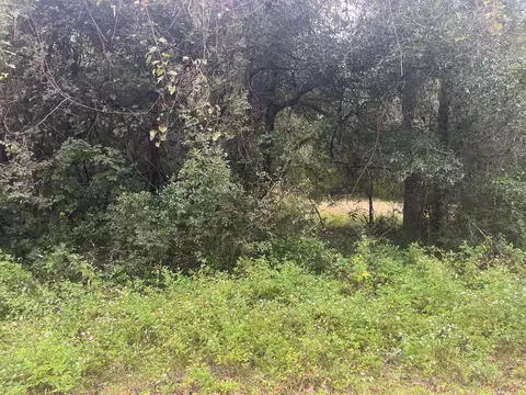 lot14 Jean Dr, Crawfordville, FL 32327