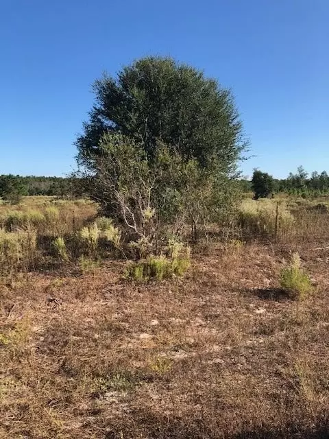562 Dr Martin Luther King Rd #-, Crawfordville, FL 32327