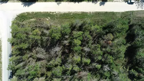 0000 Seameadows Dr, Perry, FL 32348 photo 13