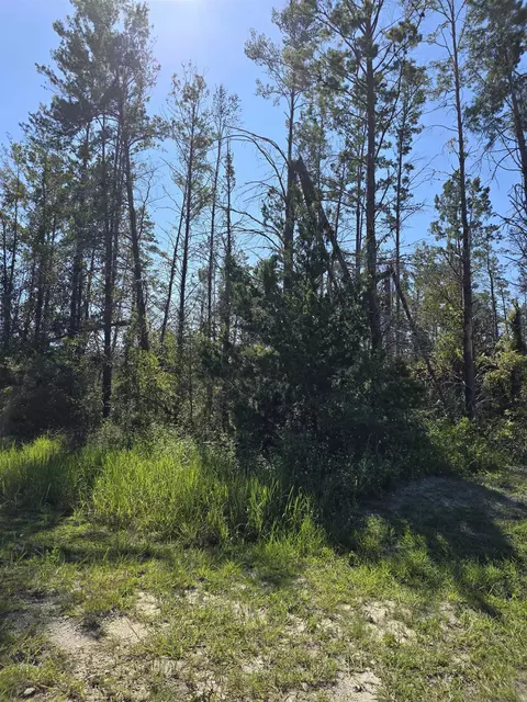 0000 Seameadows Dr, Perry, FL 32348 photo 5