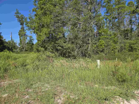 0000 Seameadows Dr, Perry, FL 32348 photo 2