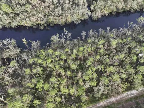 Nnn NE Chervil Drive, Lee, FL 32059