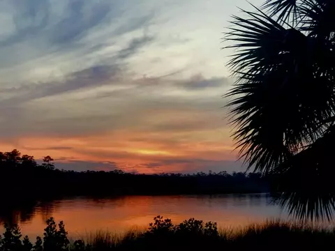 View/Area - 30 City Park, Saint Marks, FL 32355 photo 2 of 8