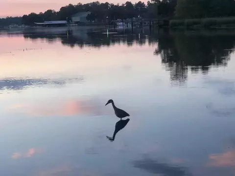 View/Area - 30 City Park, Saint Marks, FL 32355 photo 1 of 8