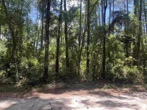 Owl Lane, Crawfordville, FL 32327