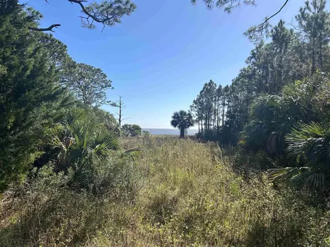 2191 E 98 Hwy, Lanark, FL 32323 photo 4