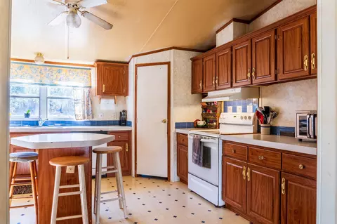 225 NE Champion Loop, Lee, FL 32059 photo 14