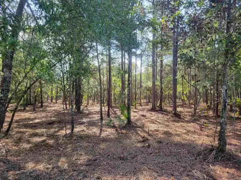 Nn Gentleman Road, Ochlockonee Bay, FL 32346