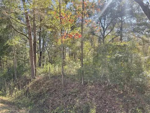 lot31 Red Fern Rd, Havana, FL 32333