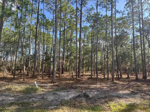 lot62 Sevier St, Ochlockonee Bay, FL 32346