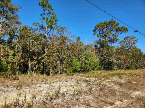 Nnn NE Sr 65 Road, Hosford, FL 32334