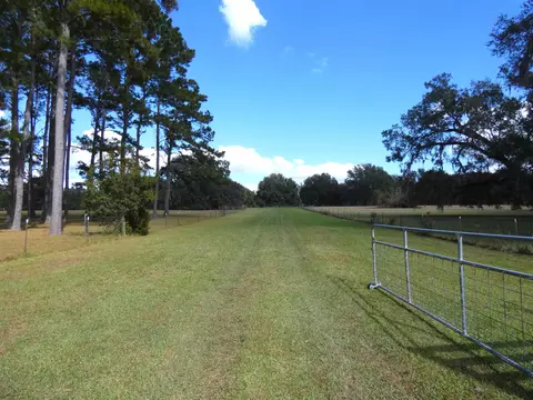 tbd Taylor Rd, Monticello, FL 32344