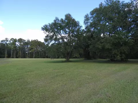 Taylor Road, Monticello, FL 32344