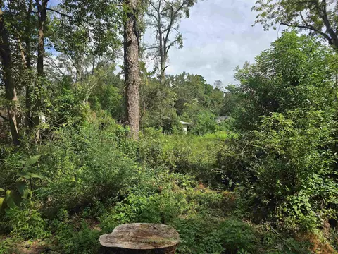 1209 Orlando Dr, Tallahassee, FL 32311