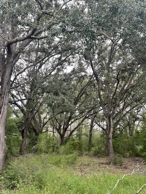 15708 Sea Eagle Dr, Perry, FL 32348 photo 7