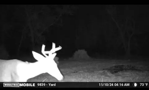 4899 W Hampton Springs Rd, Perry, FL 32348 photo 16