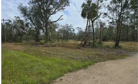 4899 W Hampton Springs Rd, Perry, FL 32348 photo 5