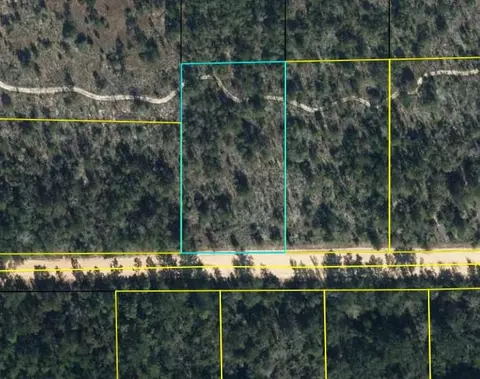 Nnn Woodland Road, Marianna, FL 32448