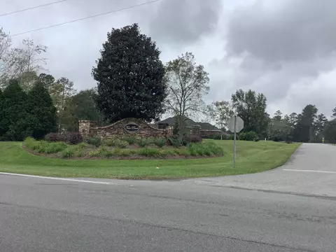 lot28 Twin Ponds Dr, Havana, FL 32333