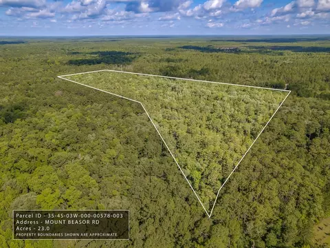 Nn Mount Beasor Road, Sopchoppy, FL 32358
