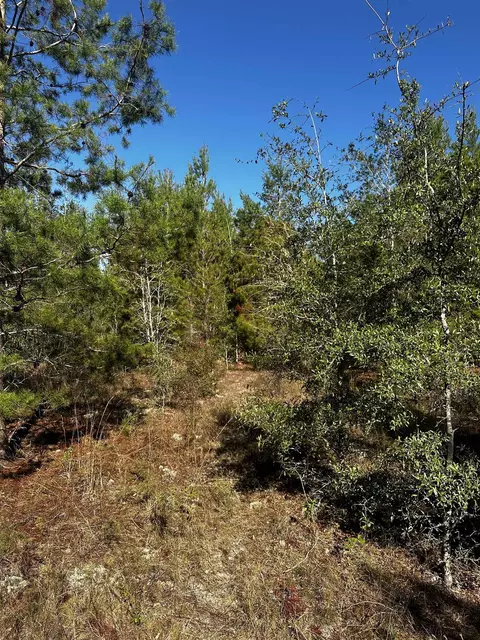 Vacant NE River Trace Trail, Lee, FL 32059 photo 8