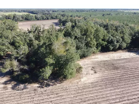 Xxx1 Sylvania Plantation Road, Other Florida, FL 32443