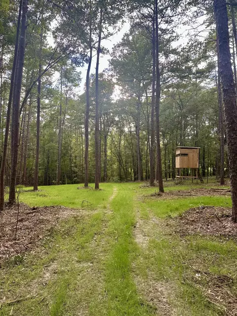 0 Wiley Rd, Tallahassee, FL 32309