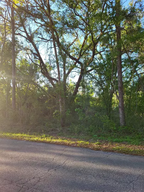 lot8586 Canopy Ln, Perry, FL 32347 photo 4