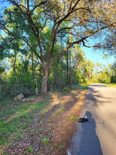lot8586 Canopy Ln, Perry, FL 32347 photo 2