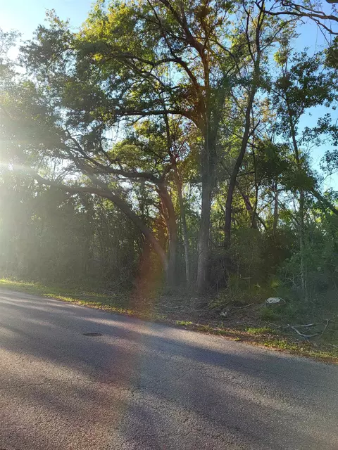 lot8586 Canopy Ln, Perry, FL 32347 photo 5