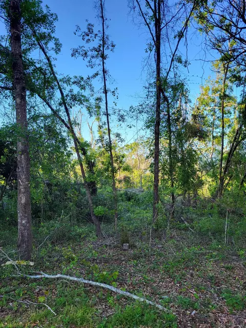 lot8586 Canopy Ln, Perry, FL 32347