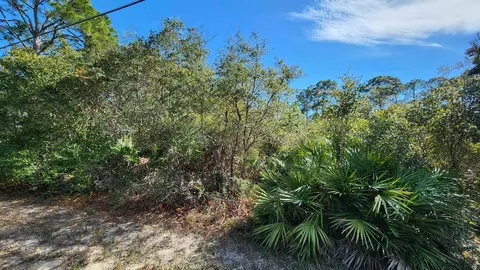 lot19 Monocoupe Dr, Panacea, FL 32346