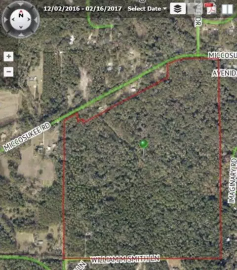 9034 William Smith, Tallahassee, FL 32309