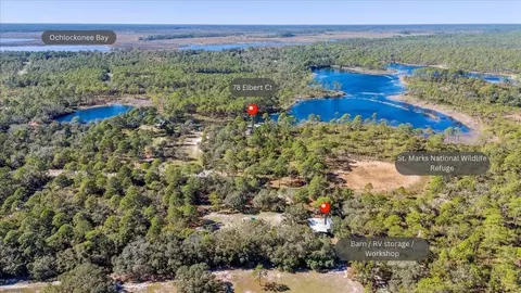 78 Elberta Ct, Panacea, FL 32346 photo 5