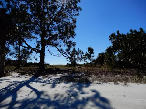 1638 Alligator Dr, Alligator Point, FL 32346 photo 5