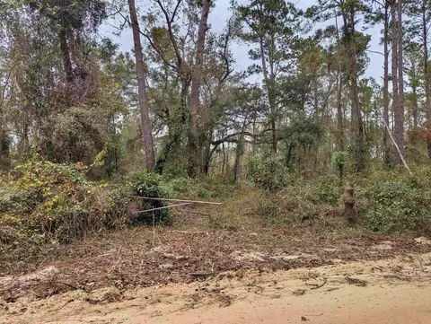 NW Radford Denson Road, Greenville, FL 32331