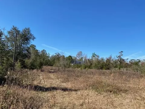 1268 SW Ml King Jr Dr, Madison, FL 32340